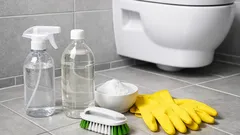 Uringeruch im Bad entfernen: mit Essig und Natron gegen den hartnäckigen WC-Geruch