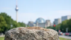 Neue Studie: Pilze könnten die Landbesiedlung viel früher ermöglicht haben