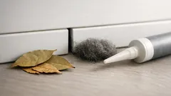 Lorbeerblätter gegen Mäuse: so klappt’s im Haushalt wirklich